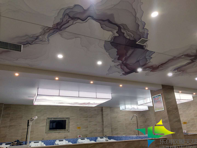 煙臺洗浴防潮造型吊頂 煙臺洗浴防潮造型吊頂